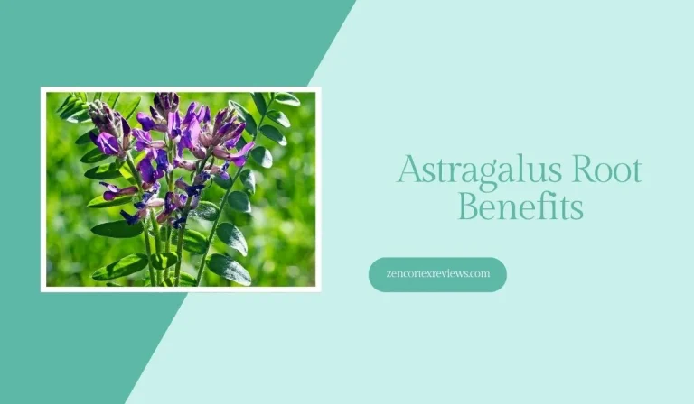 Astragalus Root: A Natural Remedy With Multifaceted Health Benefits