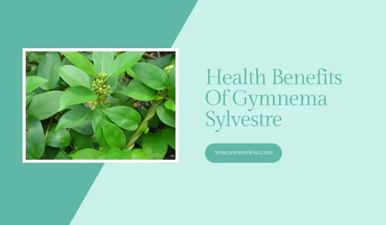 All You Need To Know About Gymnema Sylvestre