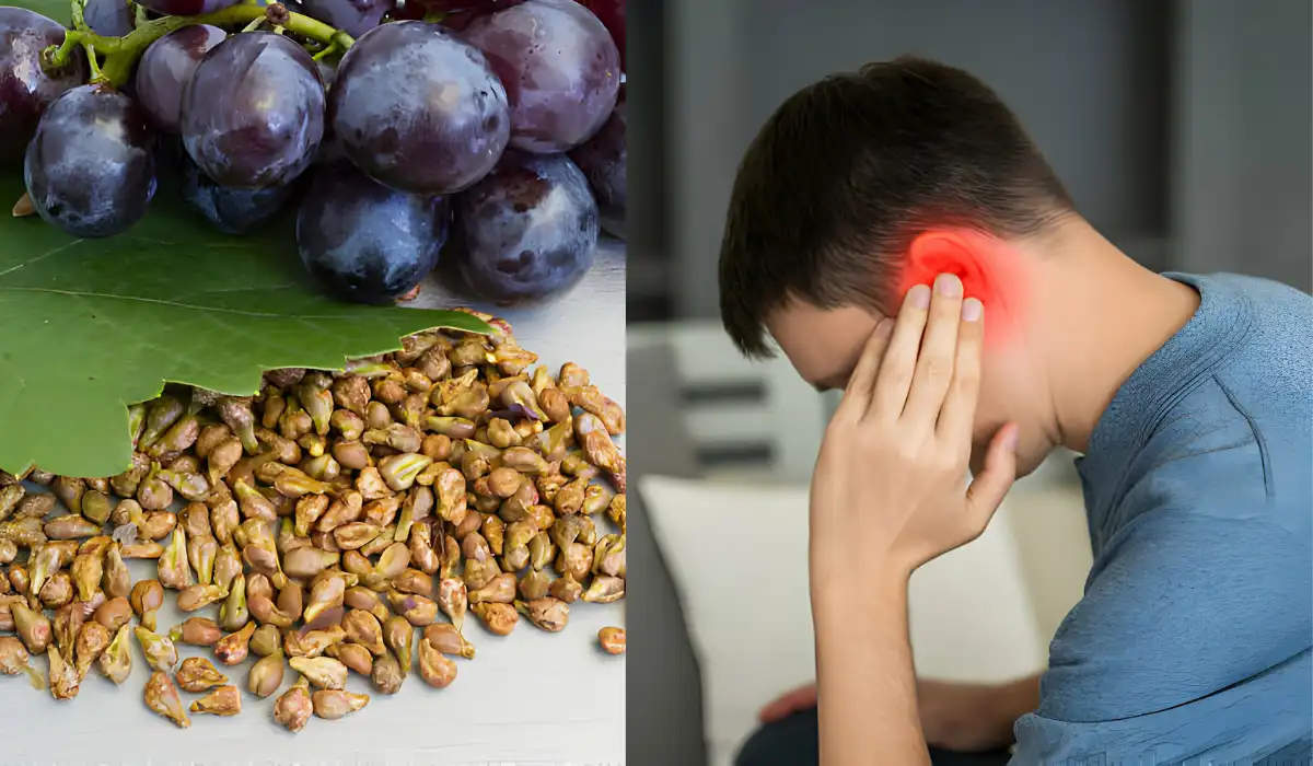 Usage of Grapefruit Seed Extract For Ear Infection